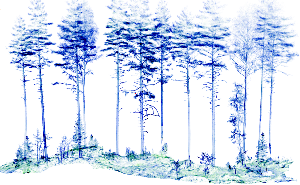 Illustration of trees in a point cloud